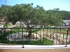 View from Patio